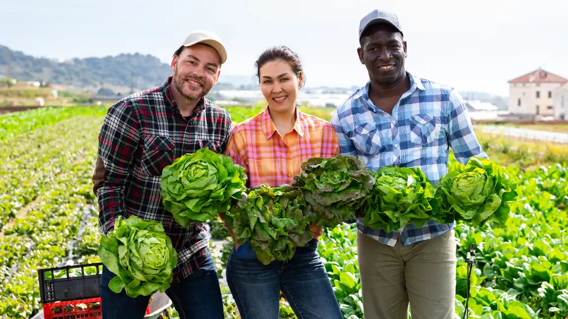 Local food producer working on a Southern farm