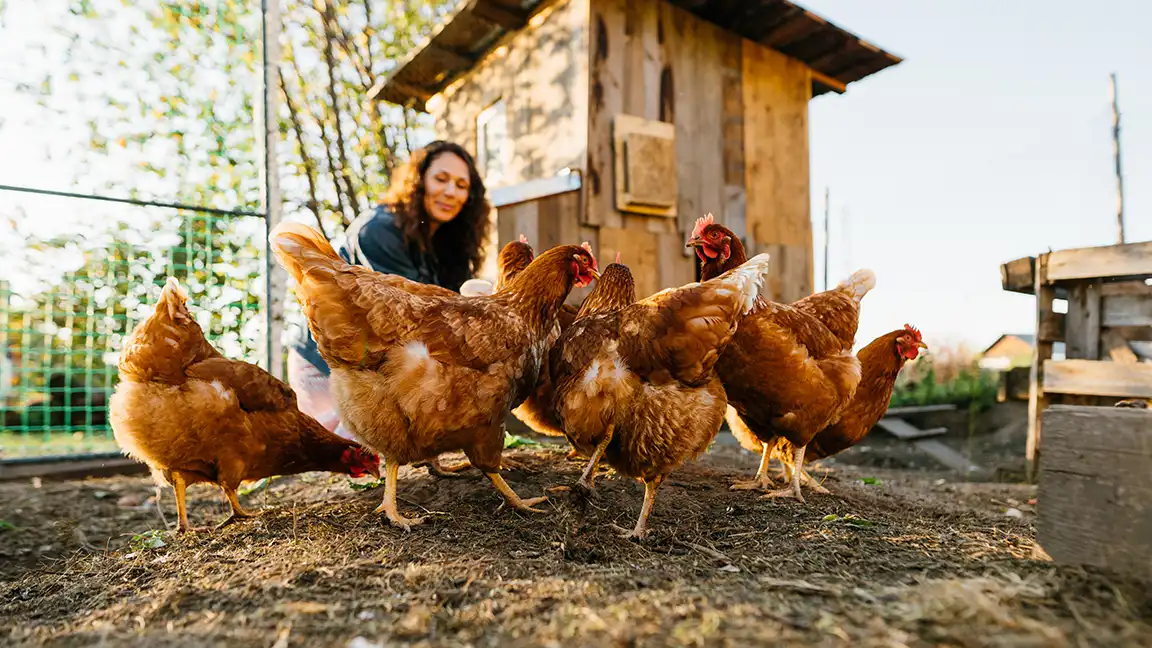 Travelers experiencing food, farms and regional culture