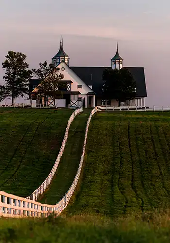 Appalachian food heritage