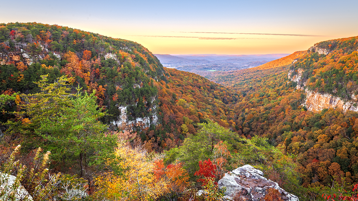 Georgia agricultural landscape connecting mountains farms and local food