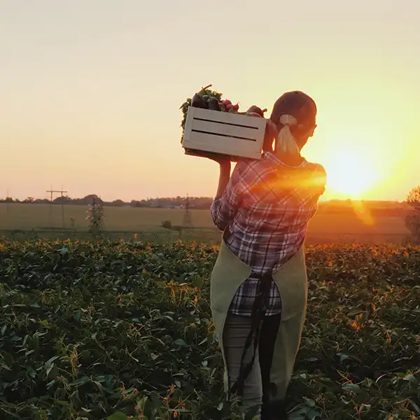 Local producer photographed on their farm