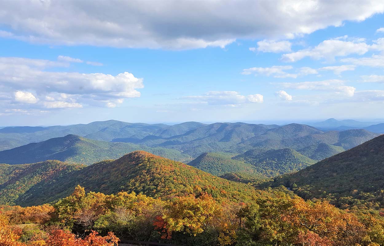 From mountain orchards to family vineyards, North Georgia's agricultural heritage continues to inspire restaurants committed to seasonal, locally sourced cuisine