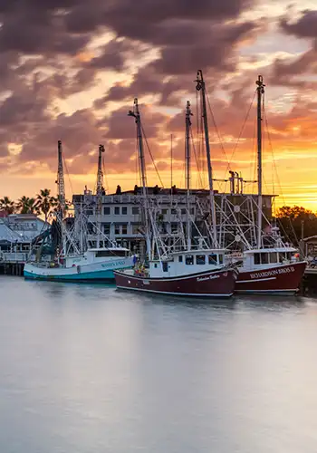 Lowcountry local food producers